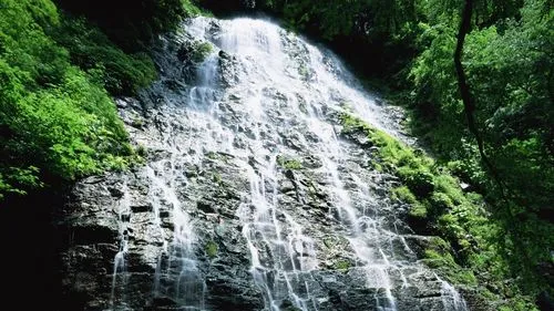 高性能智慧